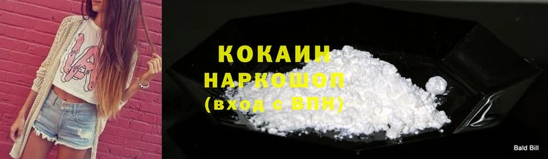 MEGA ссылки  Каменск-Уральский  Cocaine FishScale 