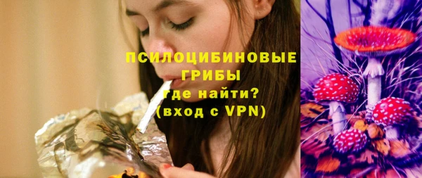 прущая мука Елабуга