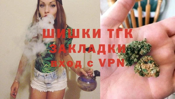 mdpv Елизово