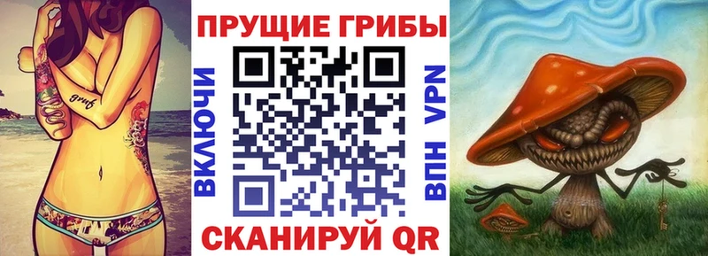 МЕГА сайт  Каменск-Уральский  Галлюциногенные грибы мицелий 